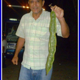 mauricio vargas, 39